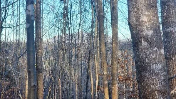 0 Jackrabbit LN - Photo 23