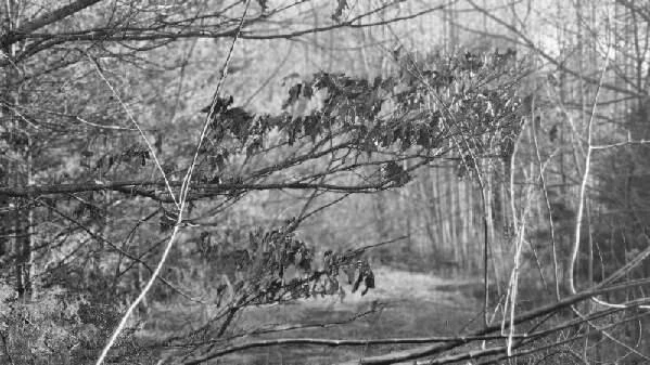 0 Jackrabbit LN - Photo 24