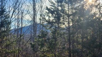 0 Jackrabbit LN - Photo 25