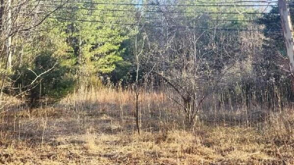 0 Jackrabbit LN - Photo 26