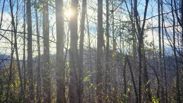 0 Jackrabbit LN - Photo 27
