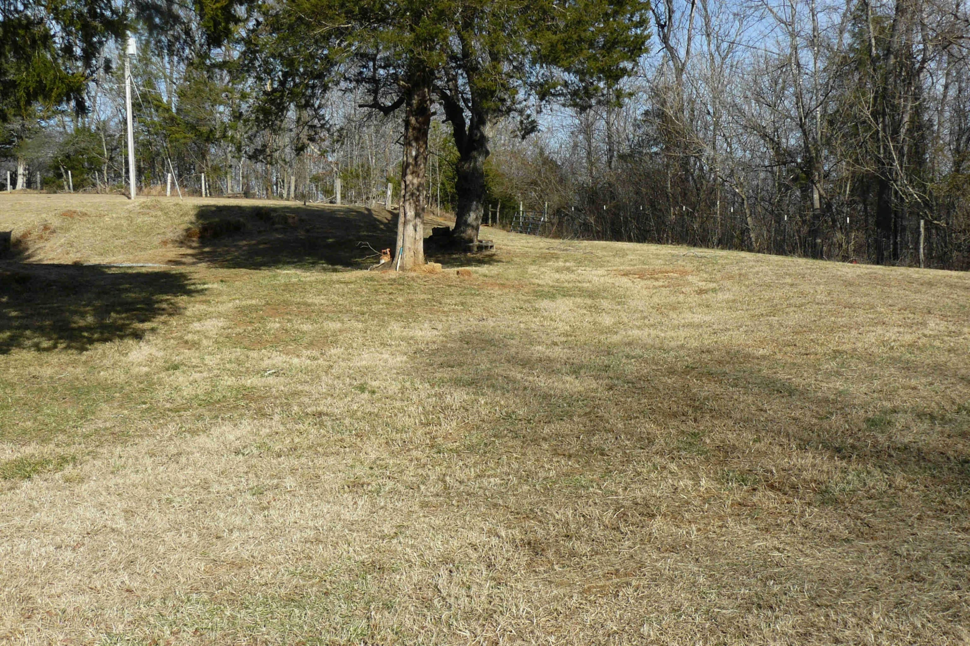 0 Jackrabbit LN - Photo 5