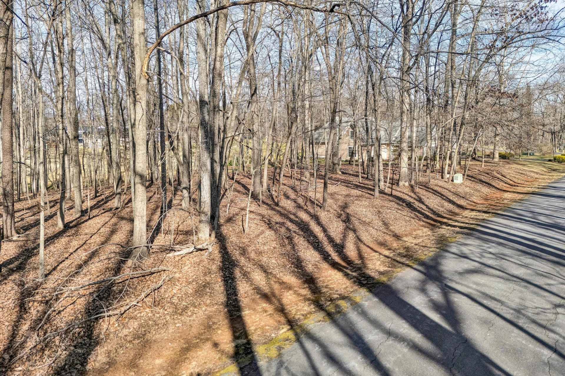 Lot 44 Galley DR - Photo 7