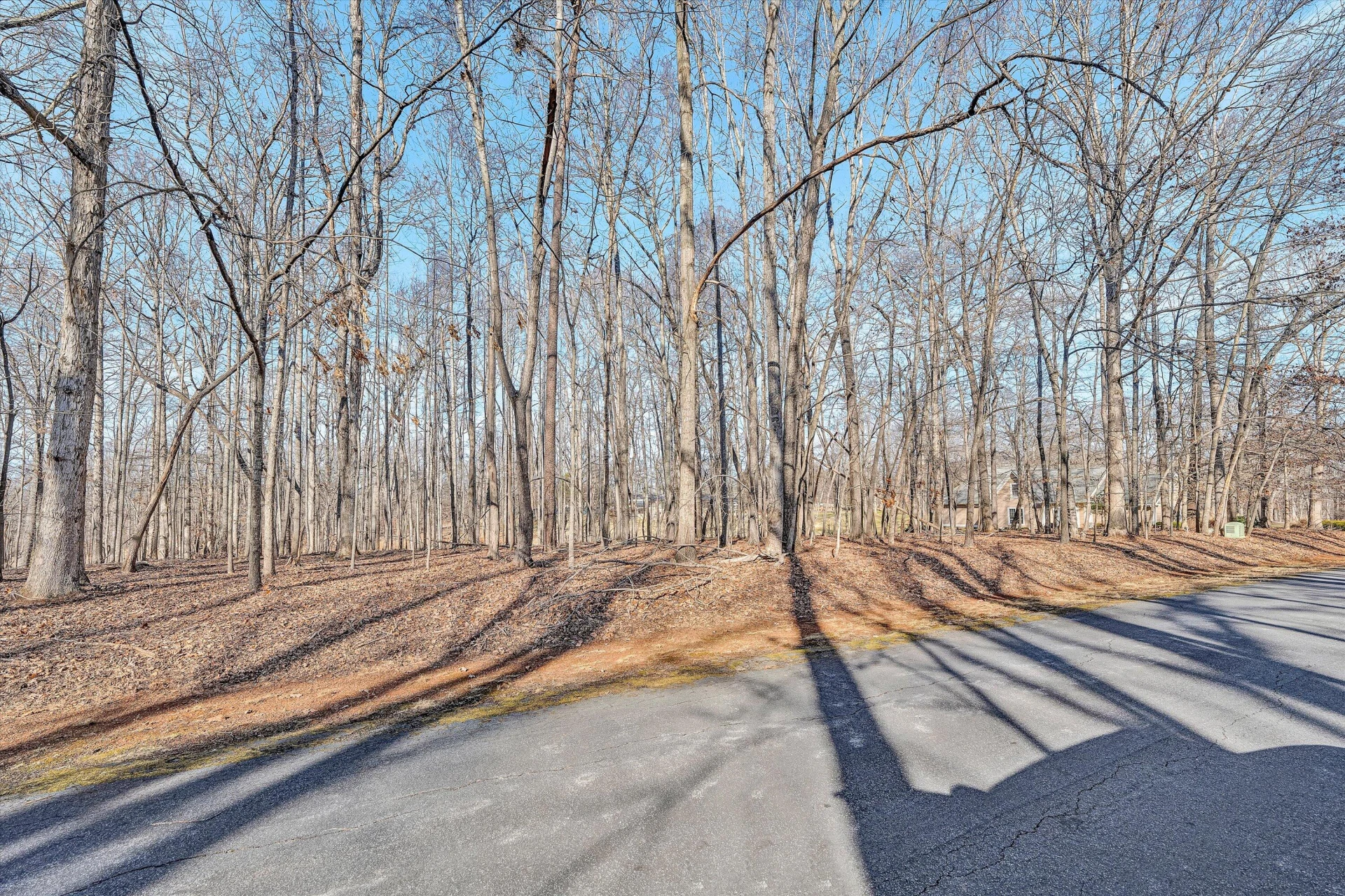 Lot 44 Galley DR - Photo 8