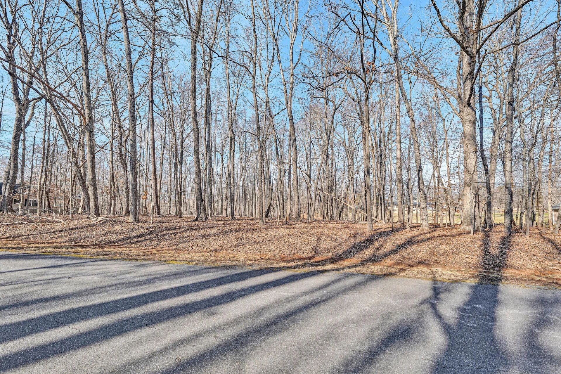 Lot 44 Galley DR - Photo 9