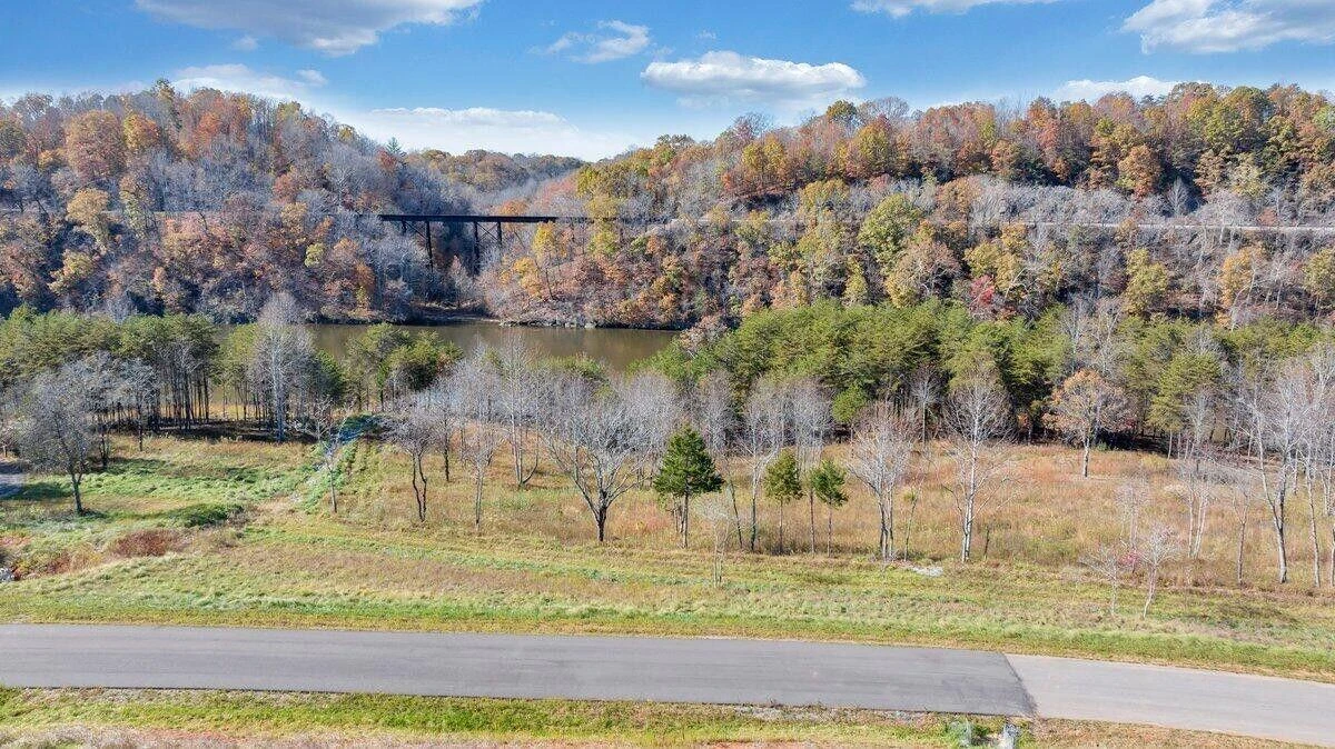 3 Lot 3 Springsteen Circle - Photo 8