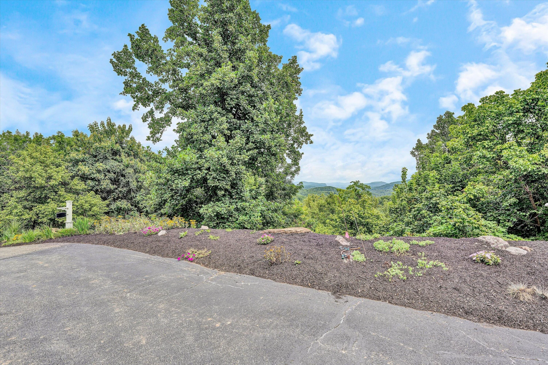 8995 Jubal Early - Photo 146