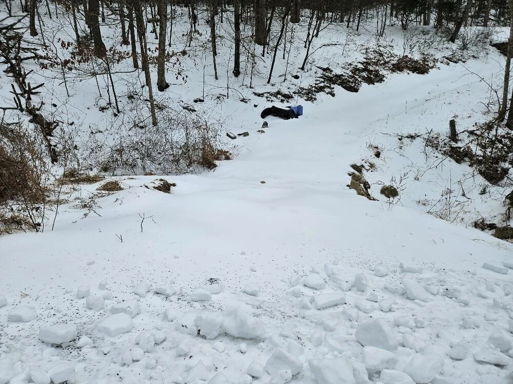 8209 Starlight LN - Photo 4