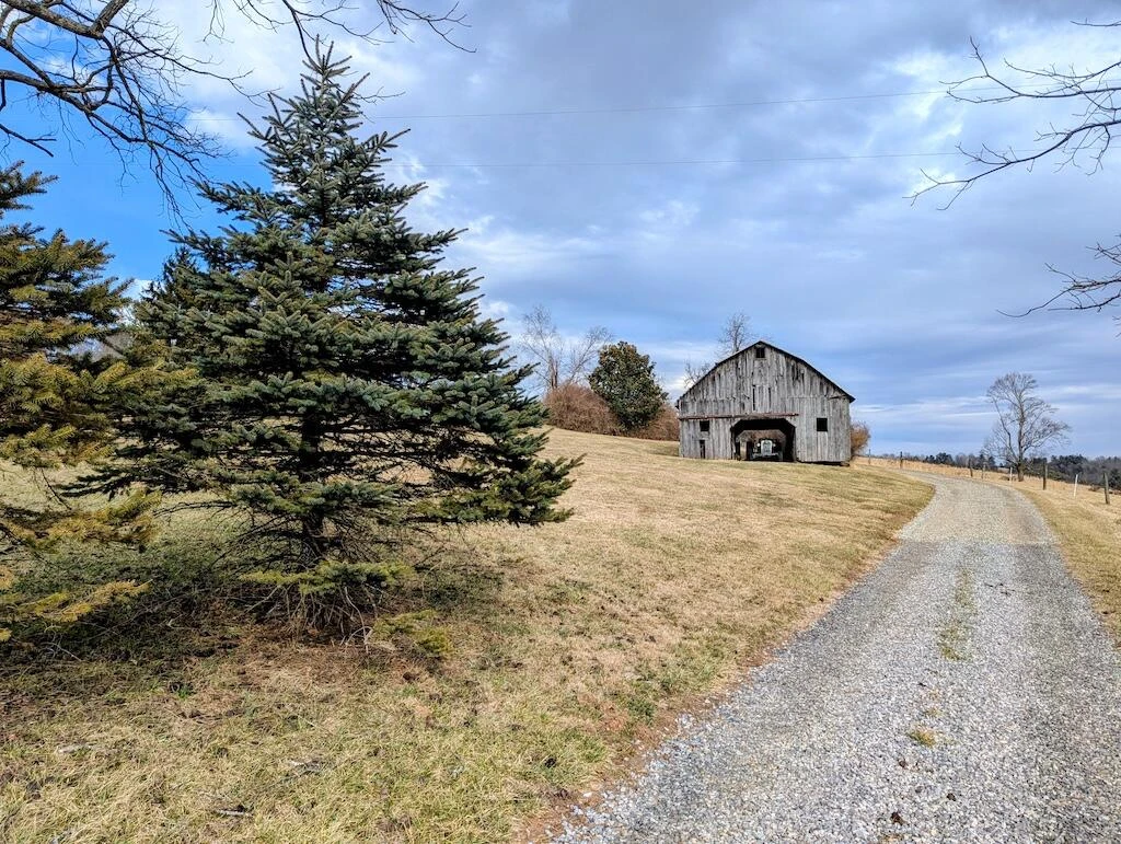 183 Abrahams Place - Photo 3