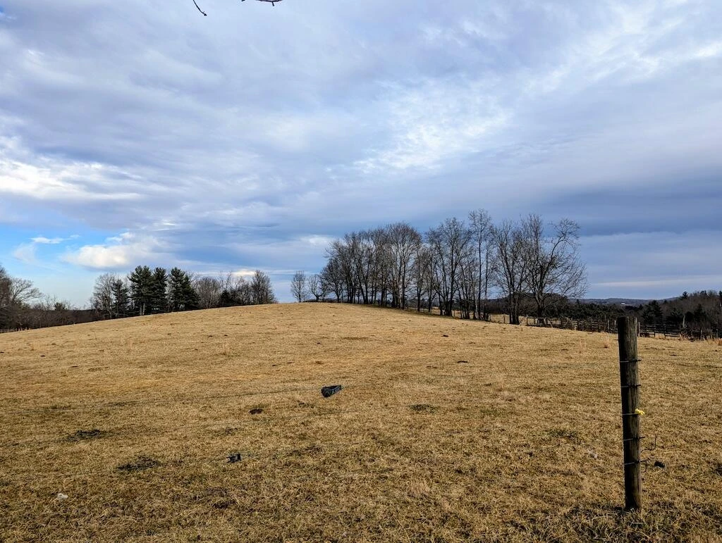 183 Abrahams Place - Photo 45