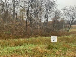 Lot 45 Red Barn LN - Photo 2