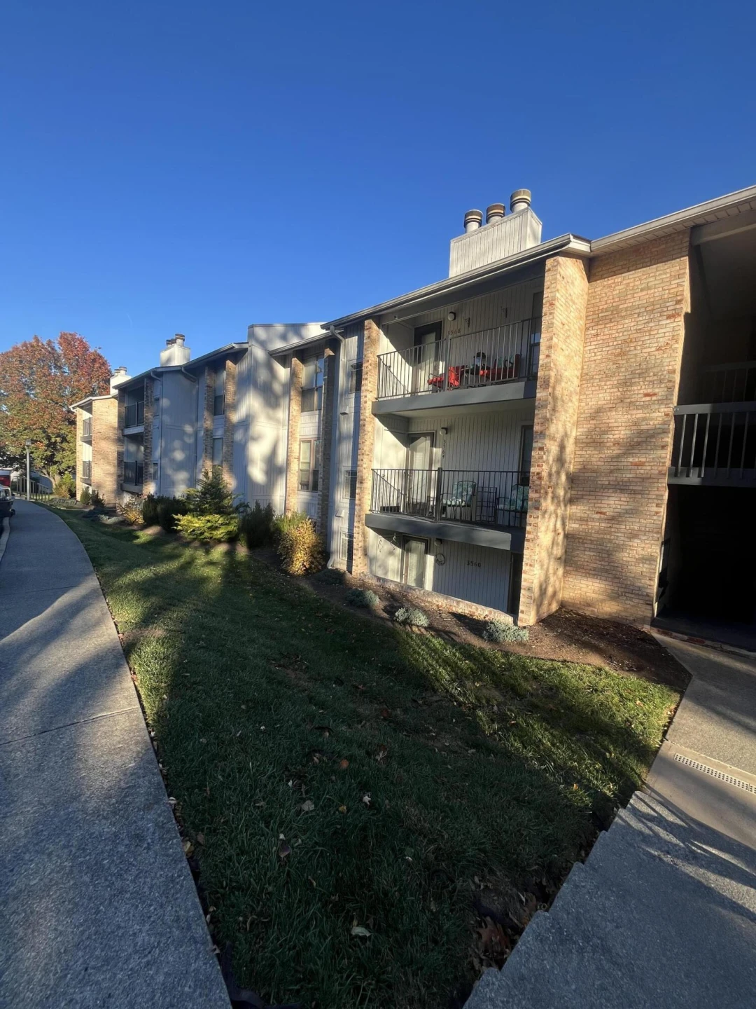 3560 Timberline Trail