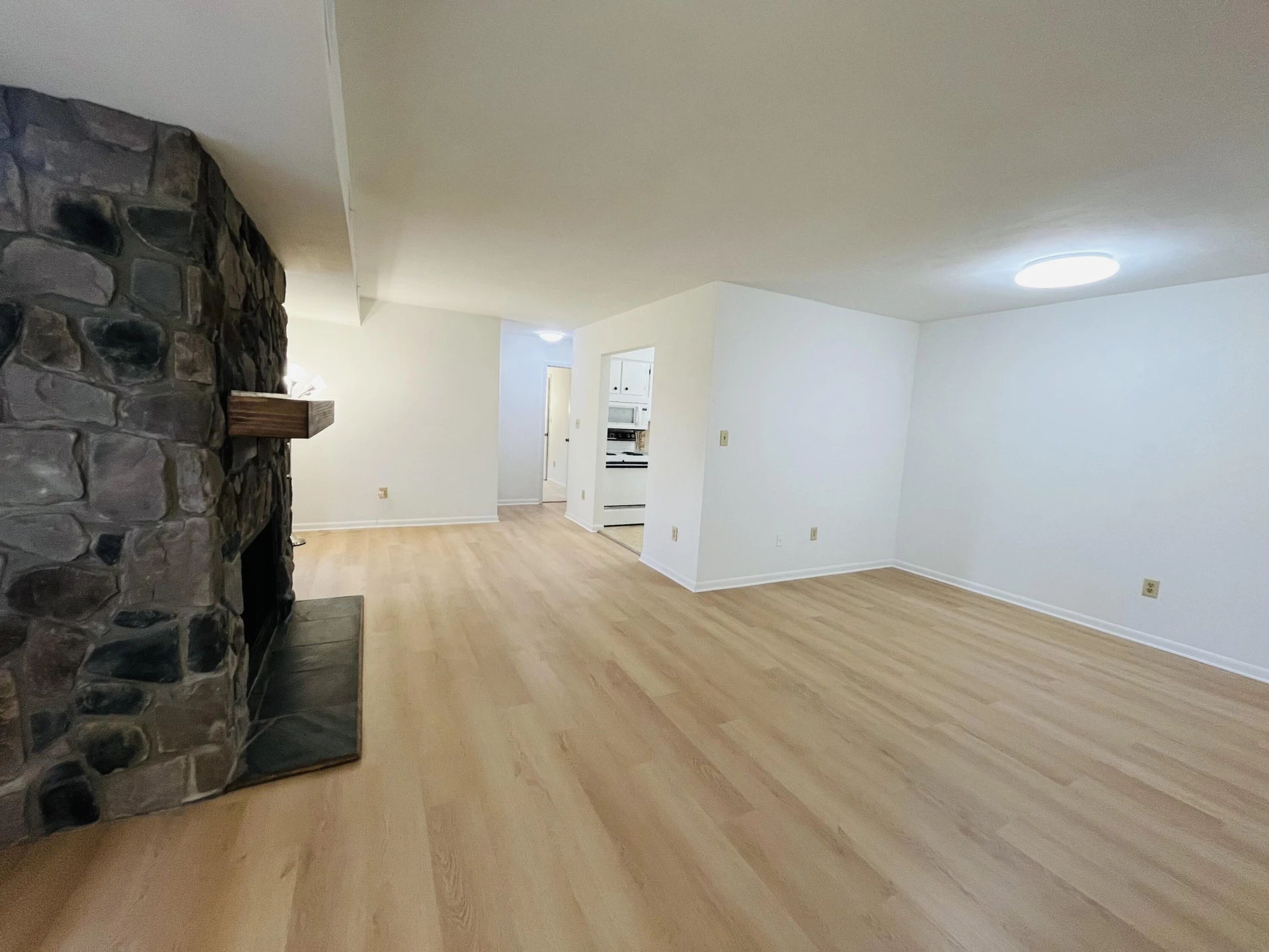 3560 Timberline Trail - Photo 3