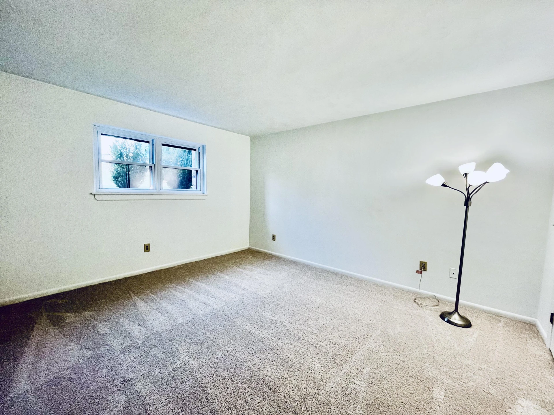 3560 Timberline Trail - Photo 6