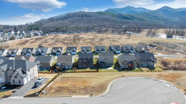Lot 6 OM LN