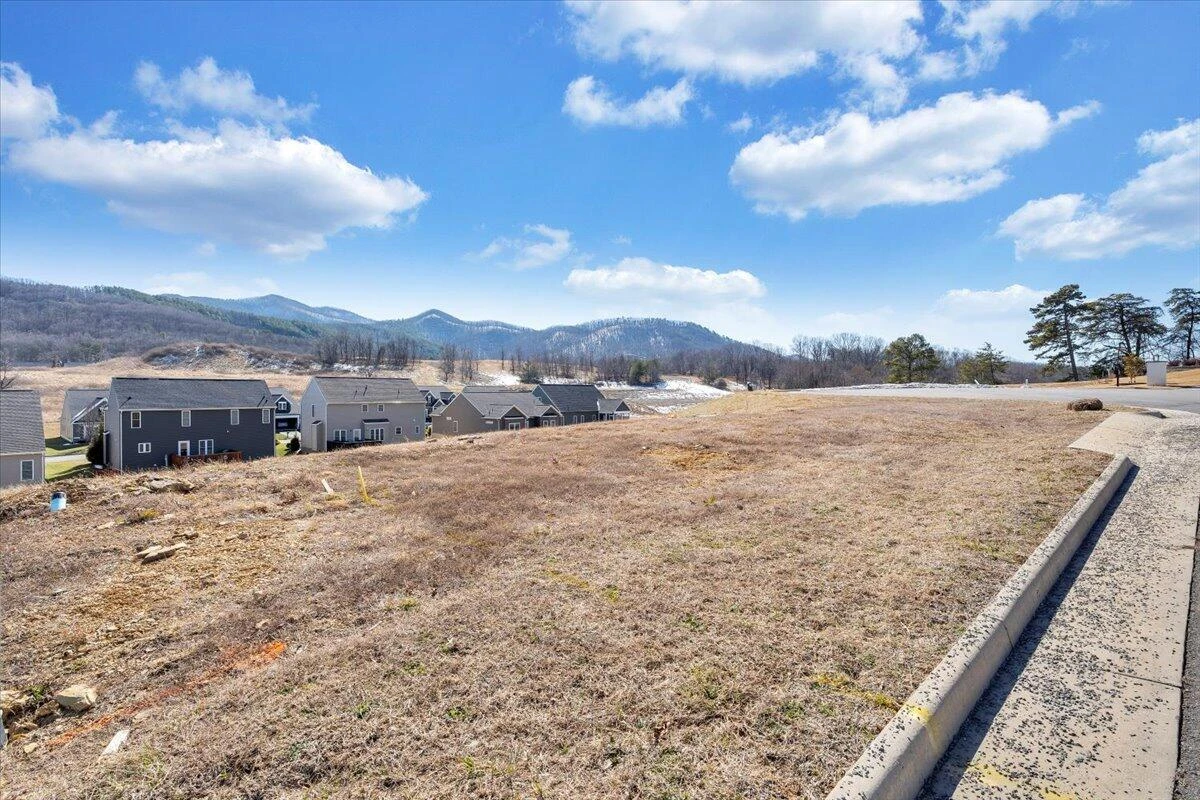 Lot 6 OM LN - Photo 10