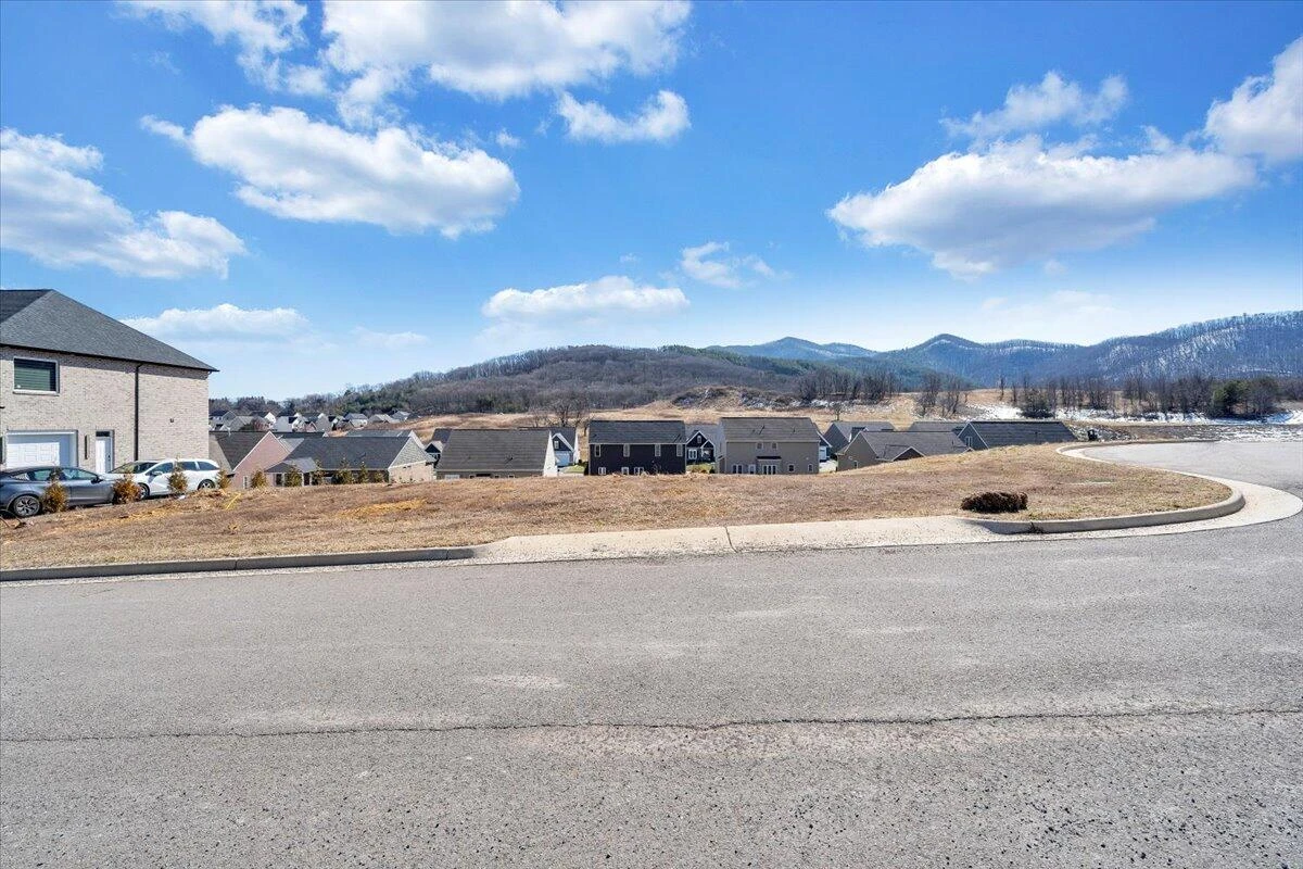 Lot 6 OM LN - Photo 3