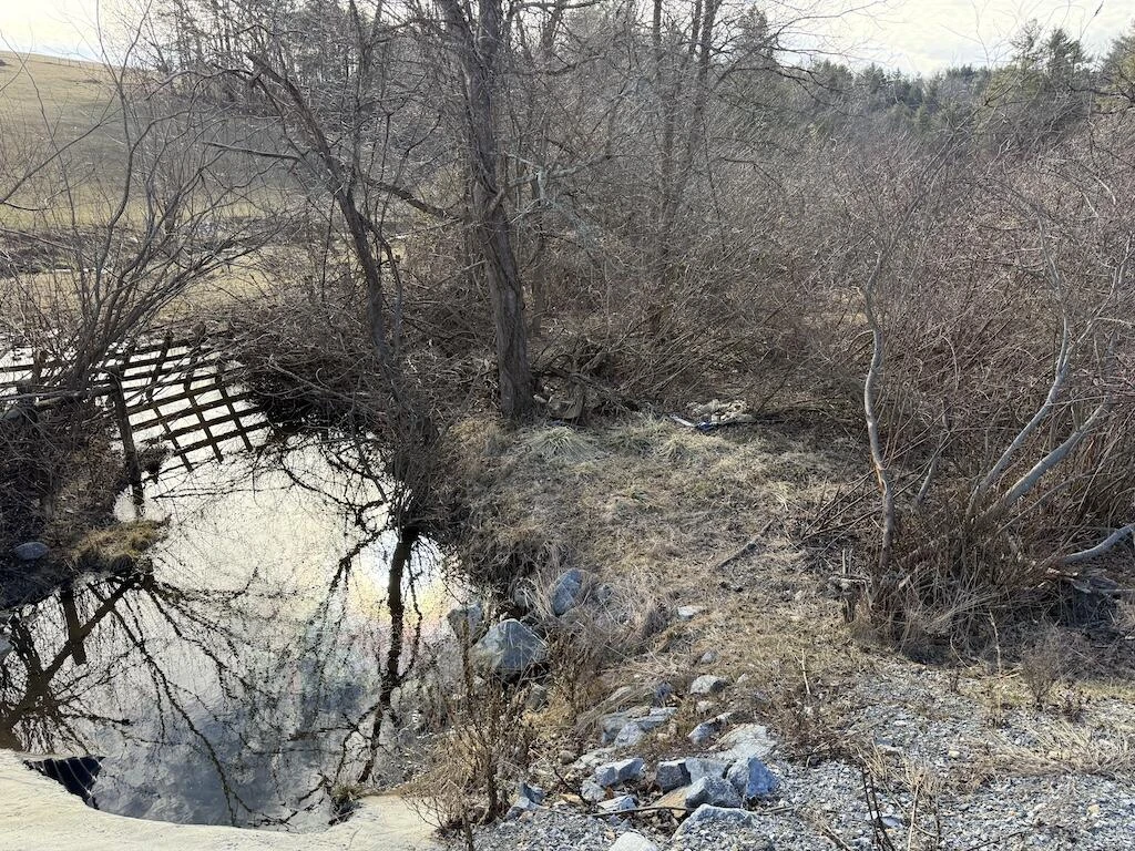 TBD Wilson Cemetery RD NE - Photo 3