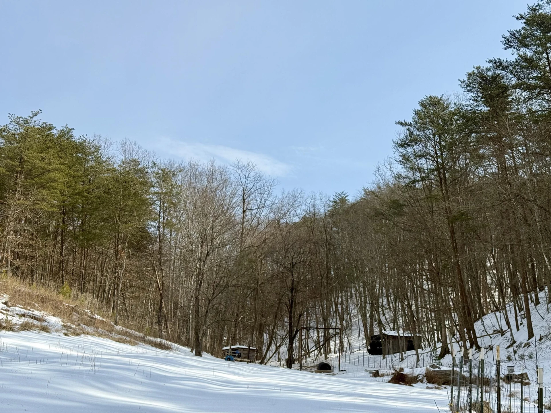 14967 Craig Creek RD - Photo 3