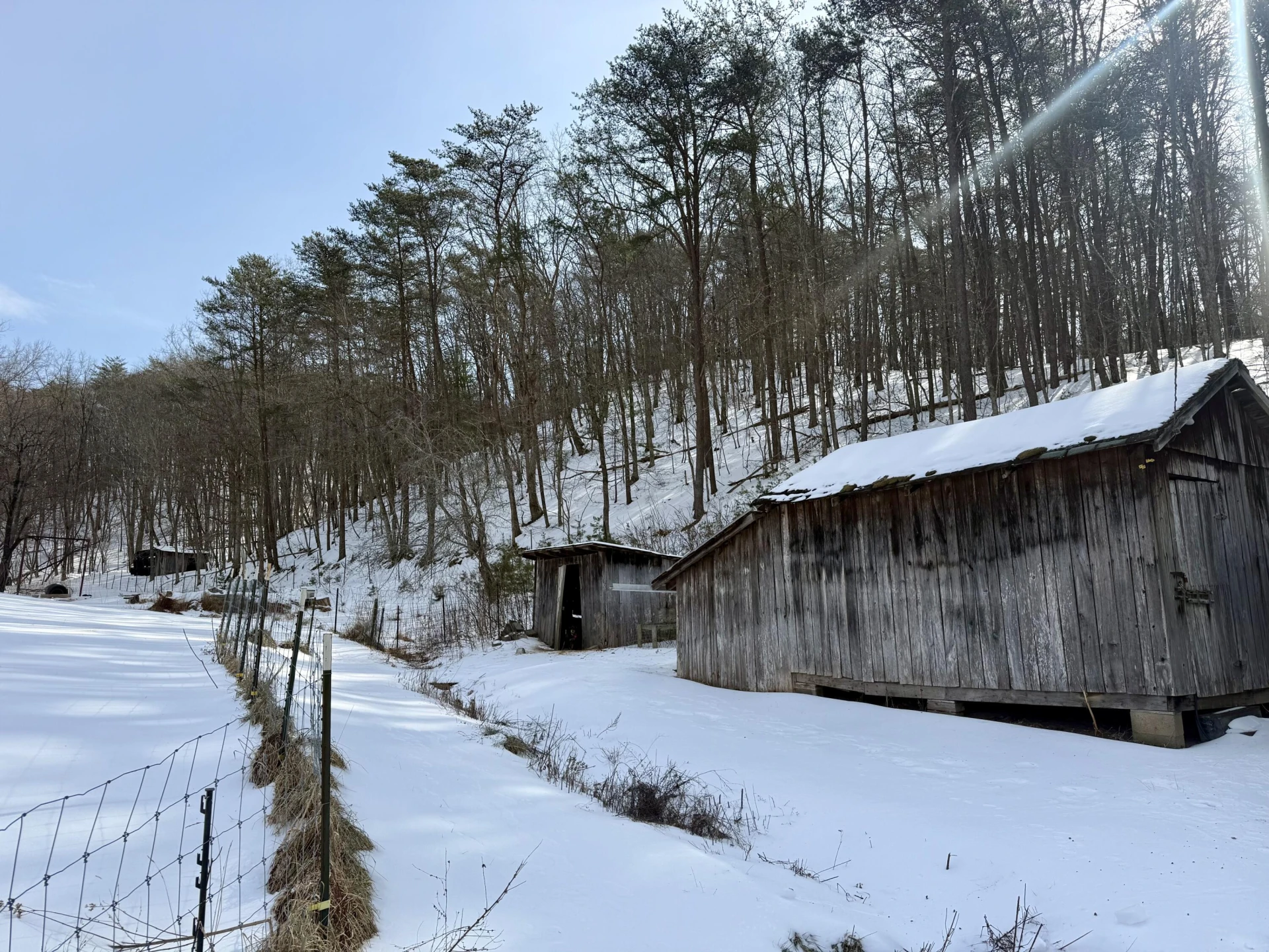 14967 Craig Creek RD - Photo 4