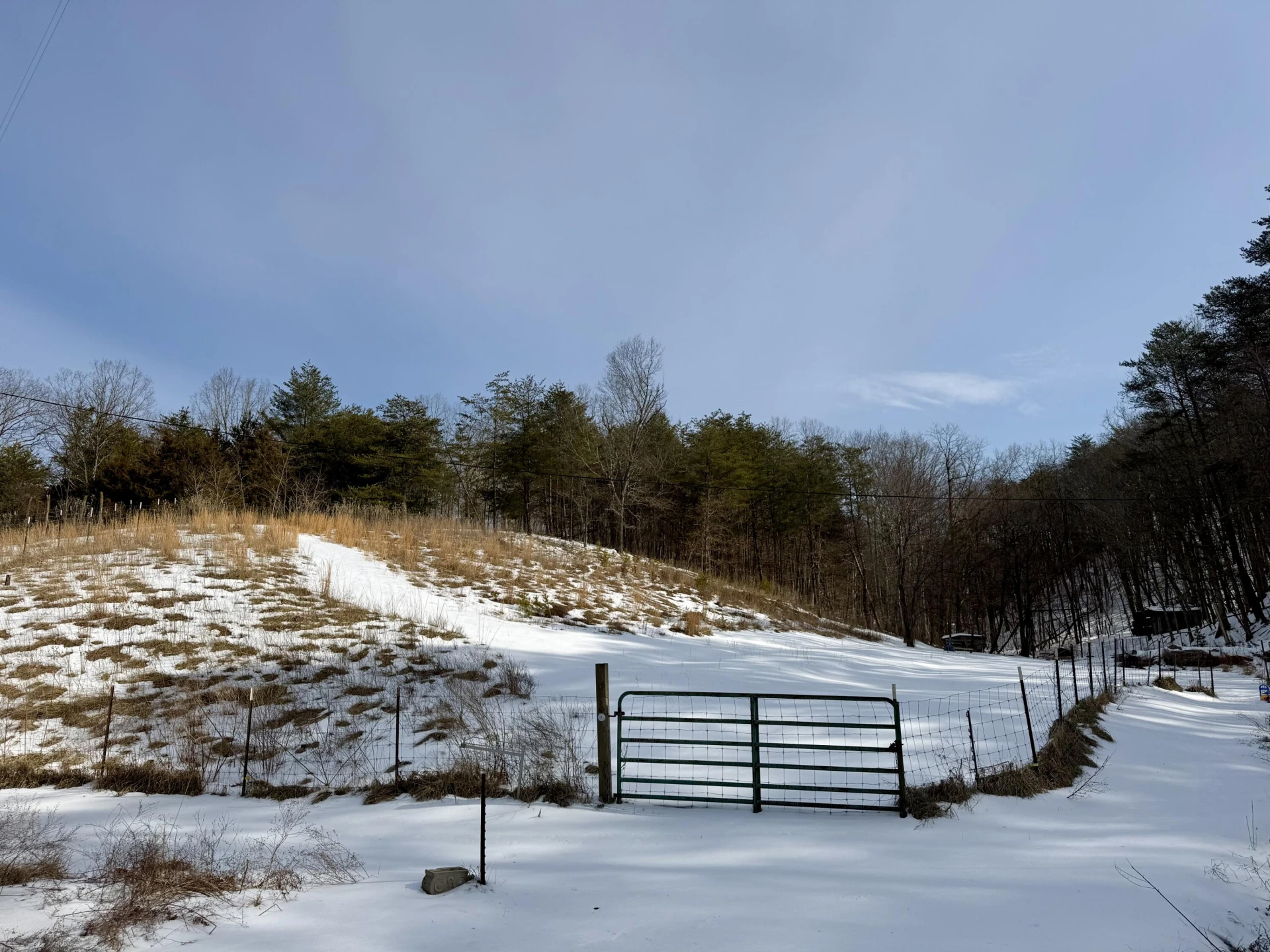 14967 Craig Creek RD - Photo 5