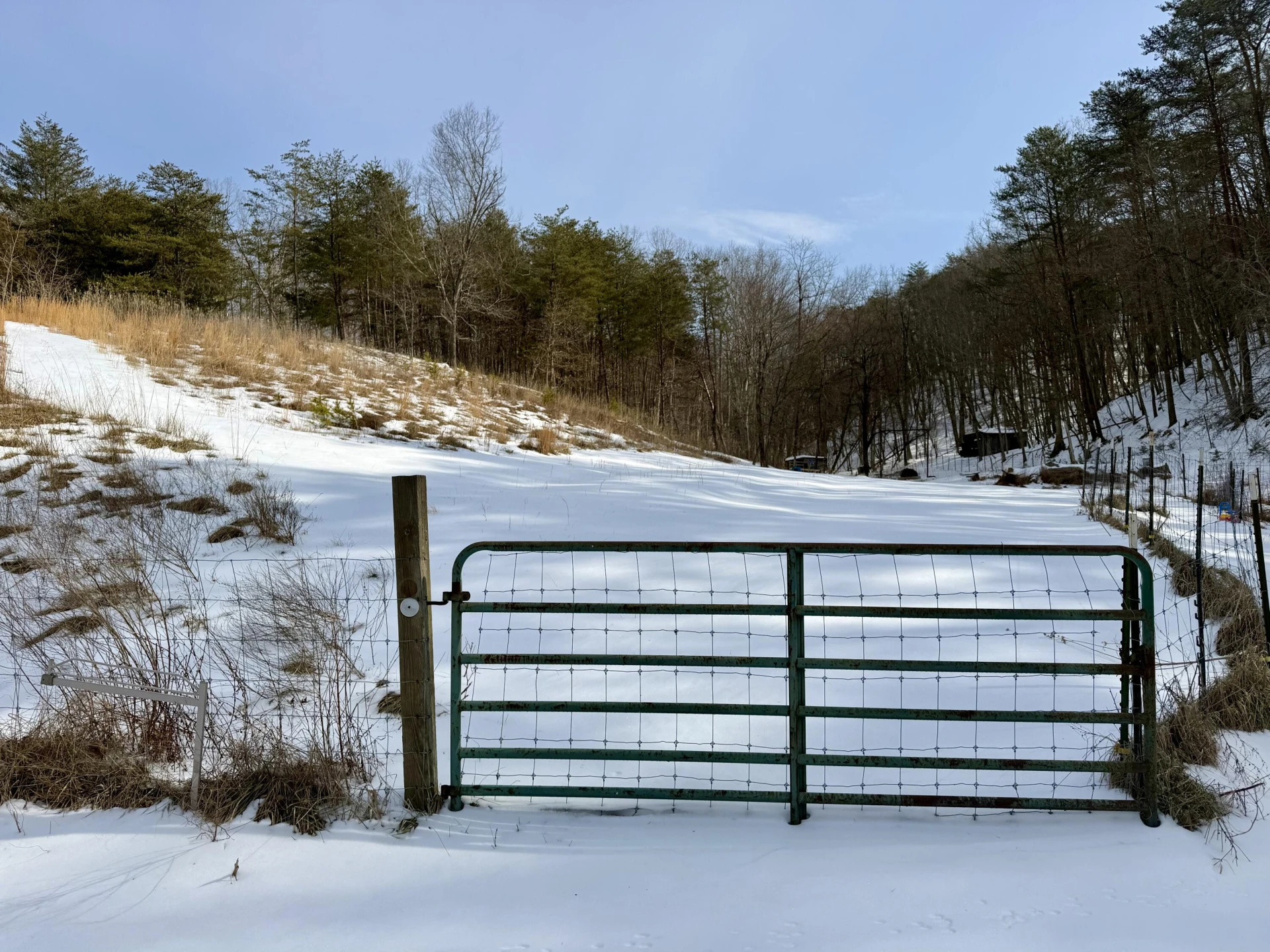 14967 Craig Creek RD - Photo 6