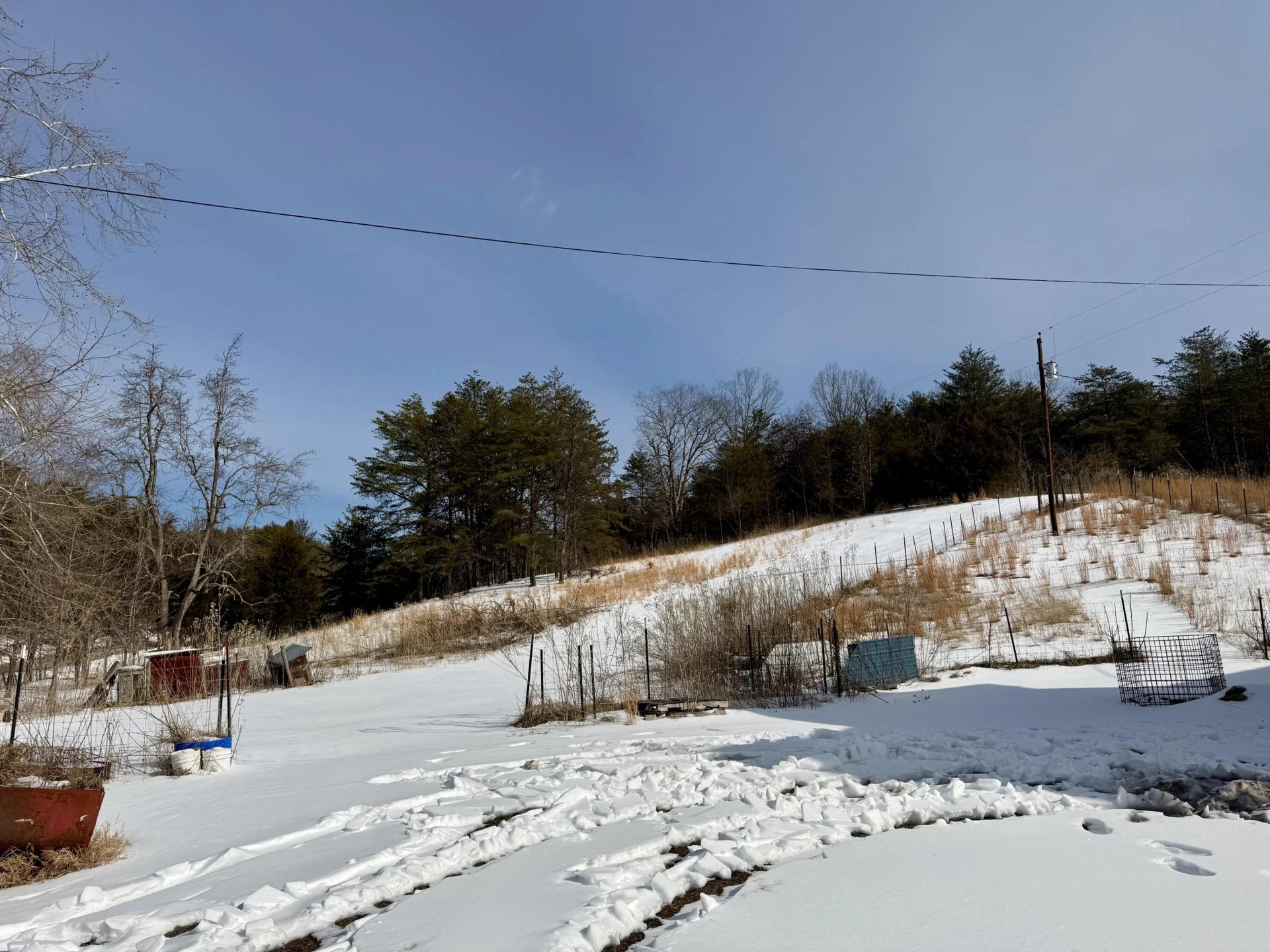 14967 Craig Creek RD - Photo 7