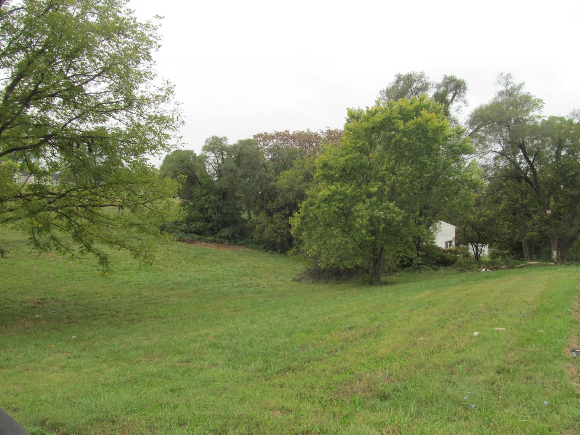 2201 Carvin ST NE - Photo 4