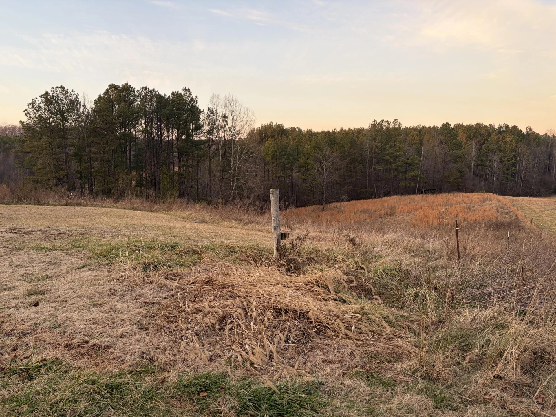 1741 Wade RD - Photo 6