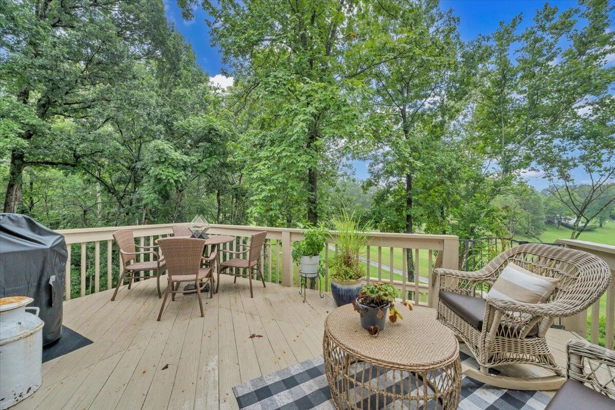 1037 Whitetail DR - Photo 47