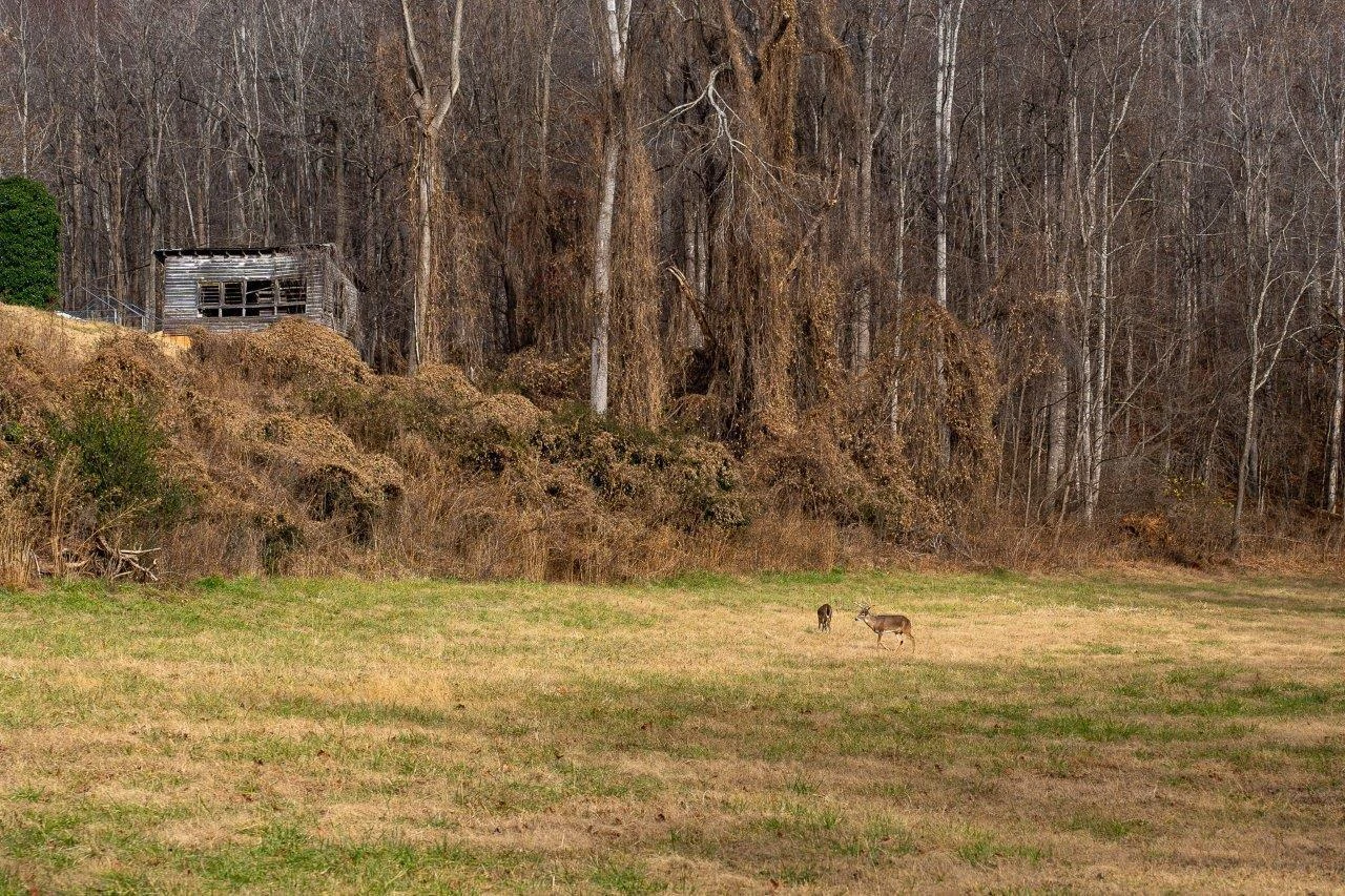 0 Foothills RD - Photo 10