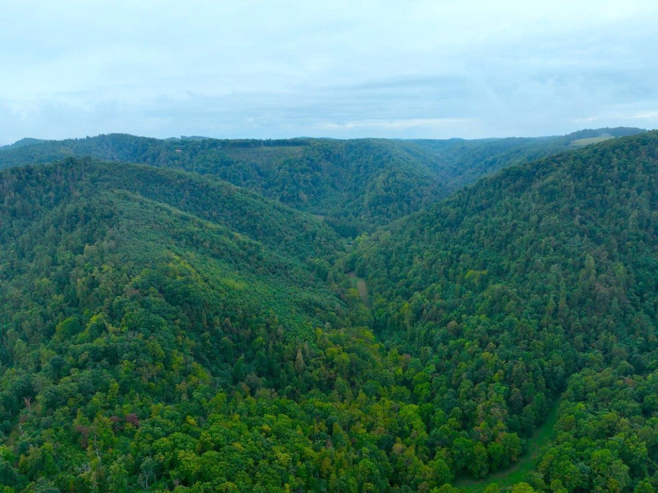 0 Foothills RD - Photo 41