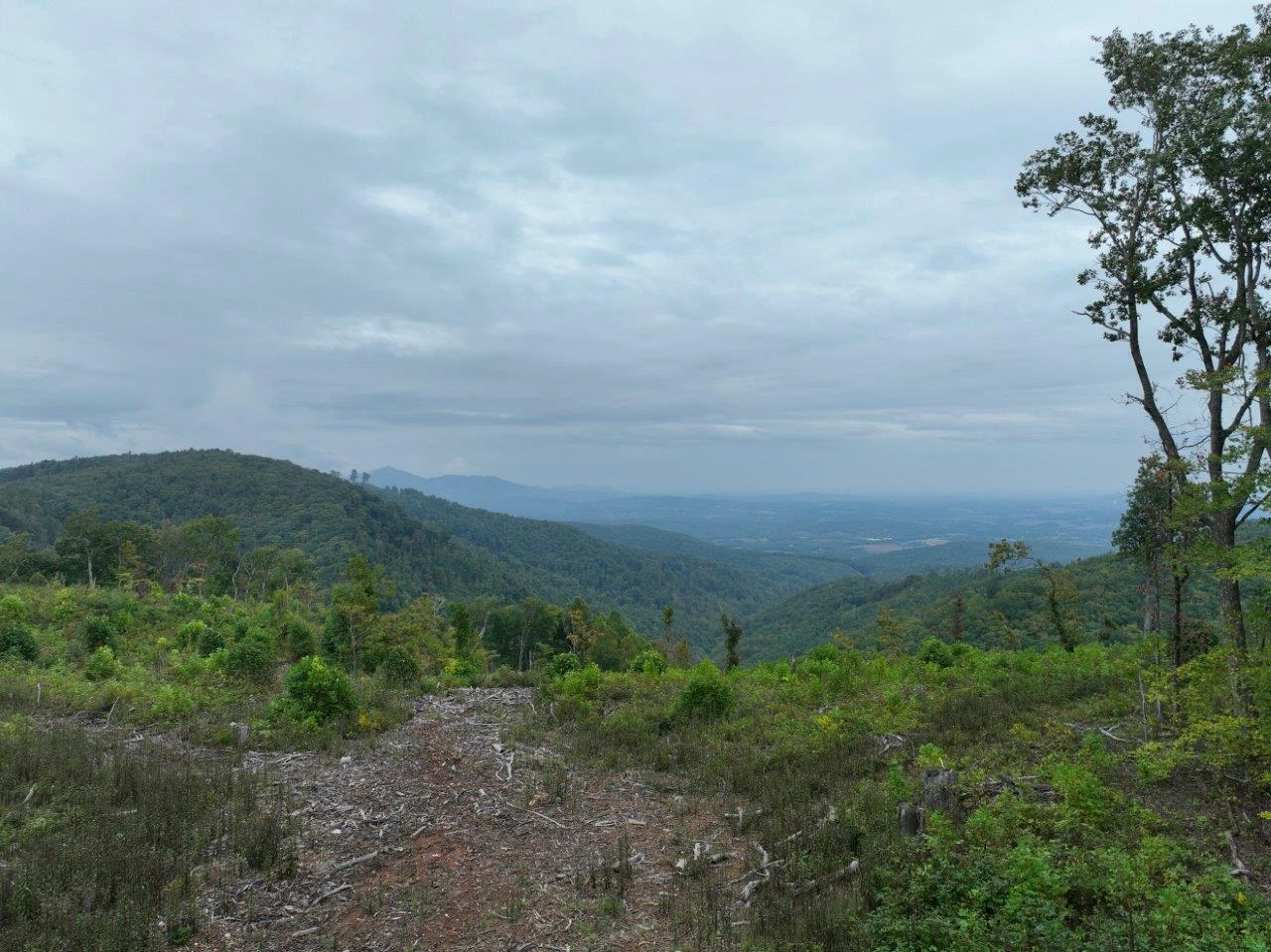 0 Foothills RD - Photo 44