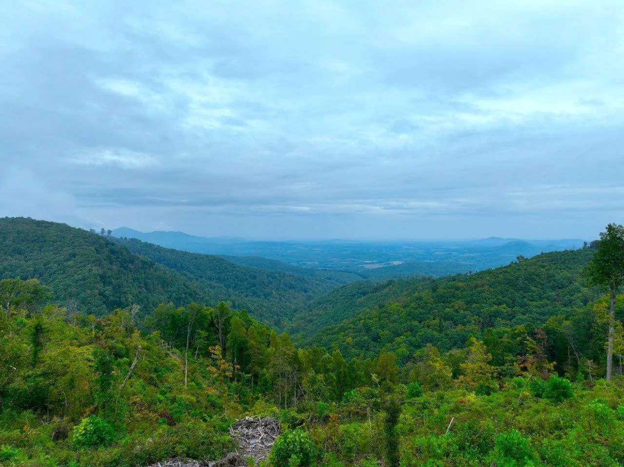 0 Foothills RD - Photo 45