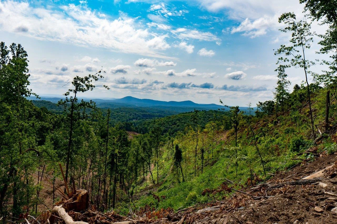 0 Foothills RD - Photo 5