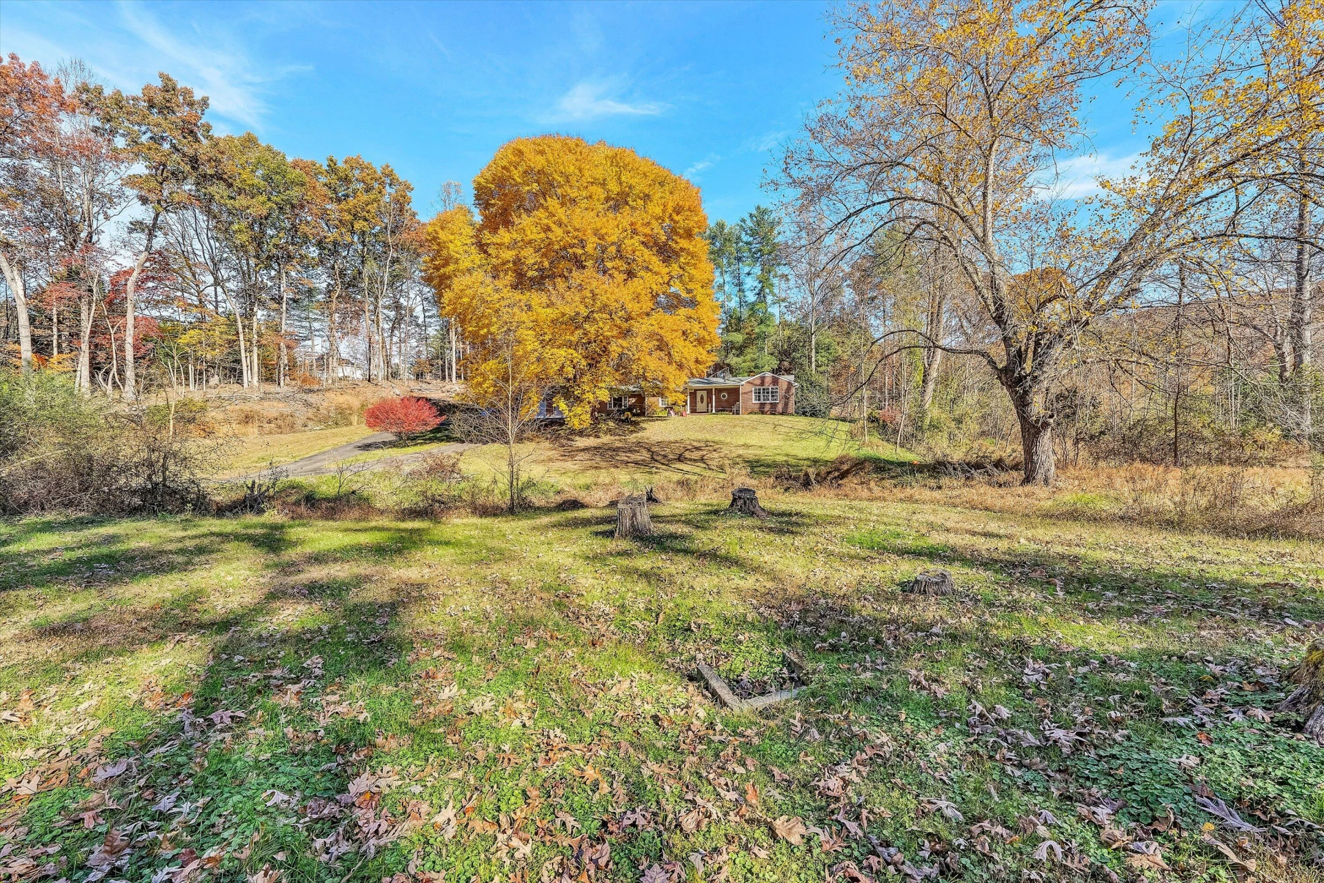 2320 Grassy Hill RD - Photo 52