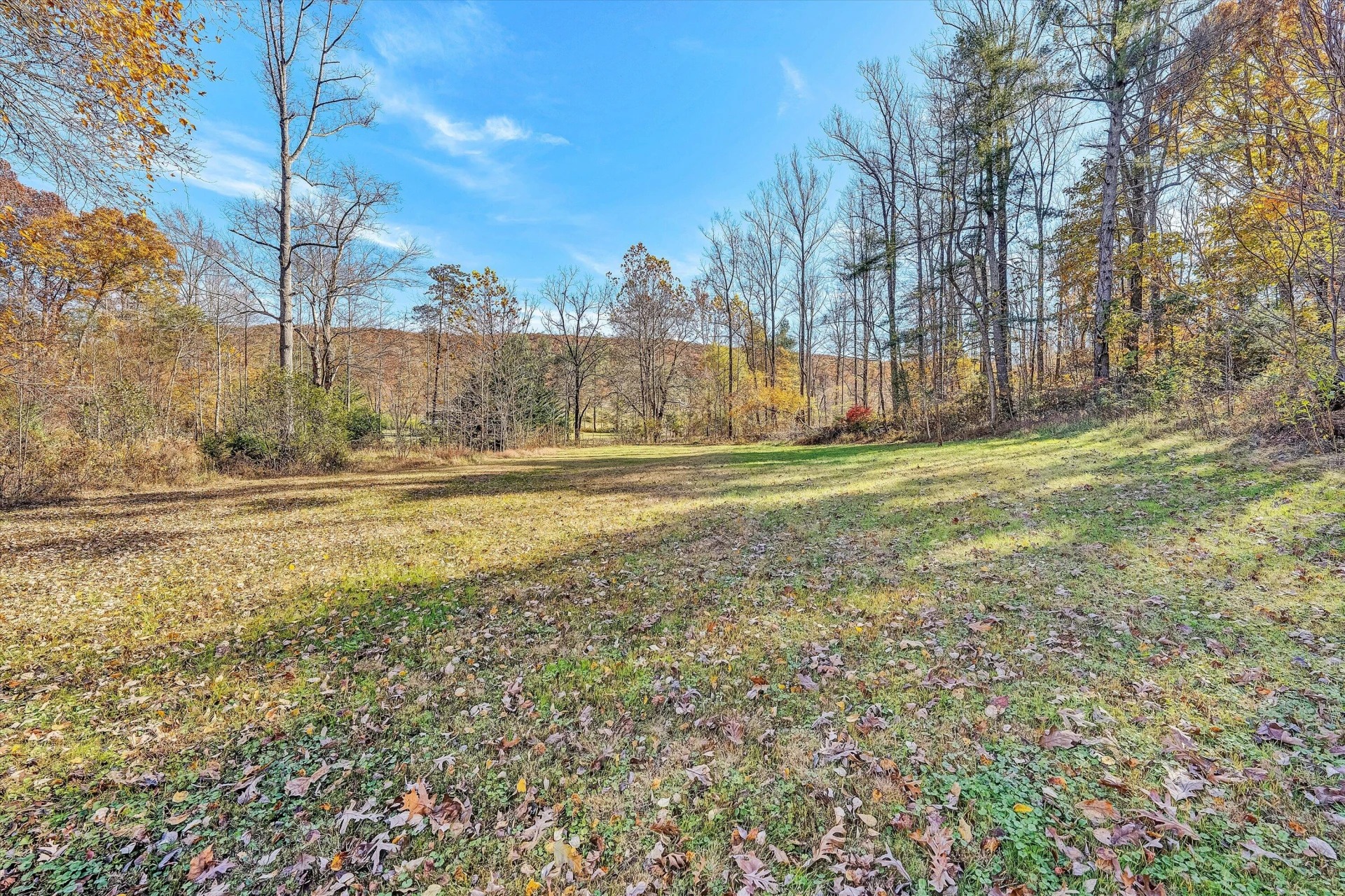 2320 Grassy Hill RD - Photo 53