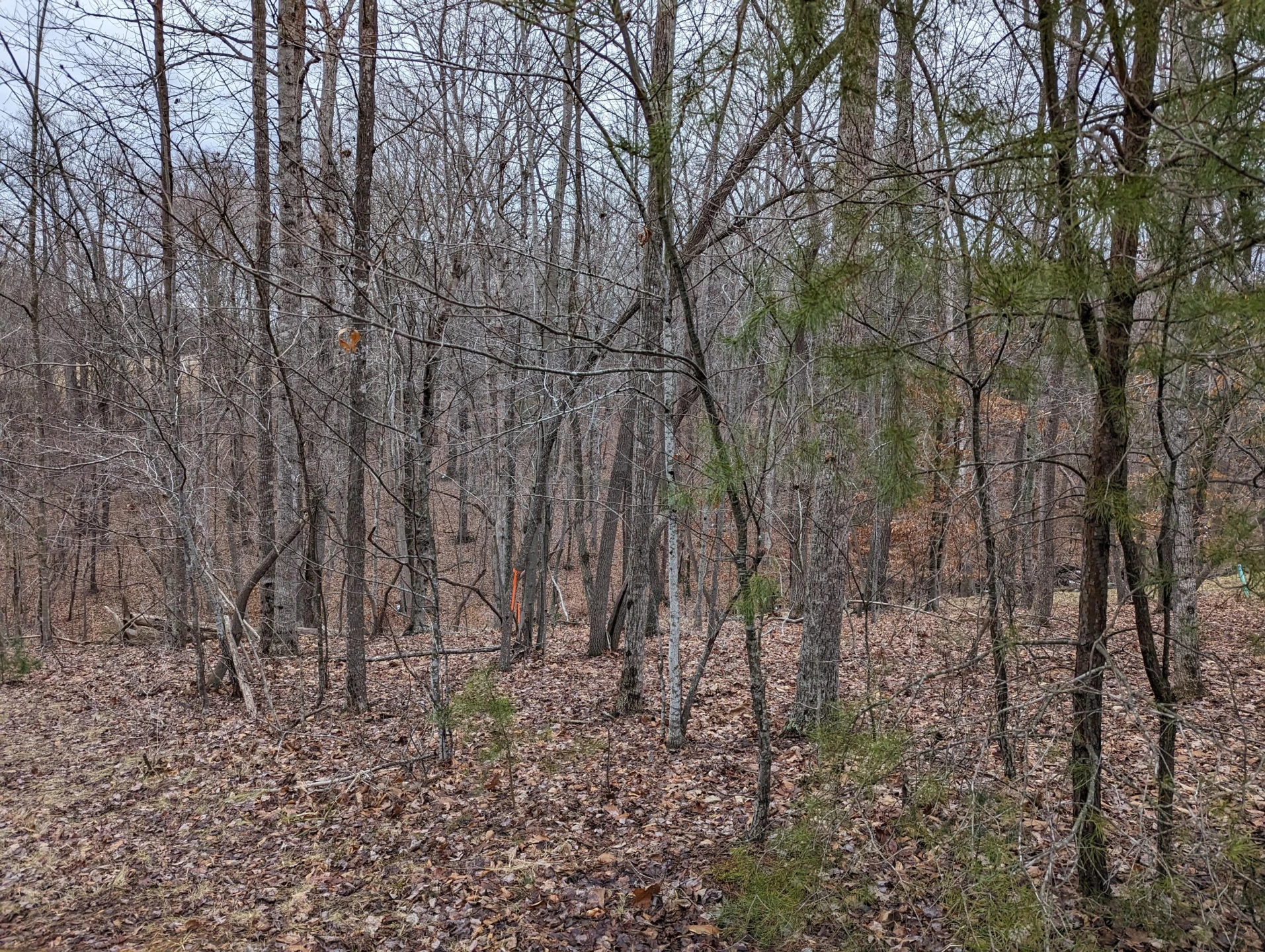 0 Stoney Mill RD - Photo 3