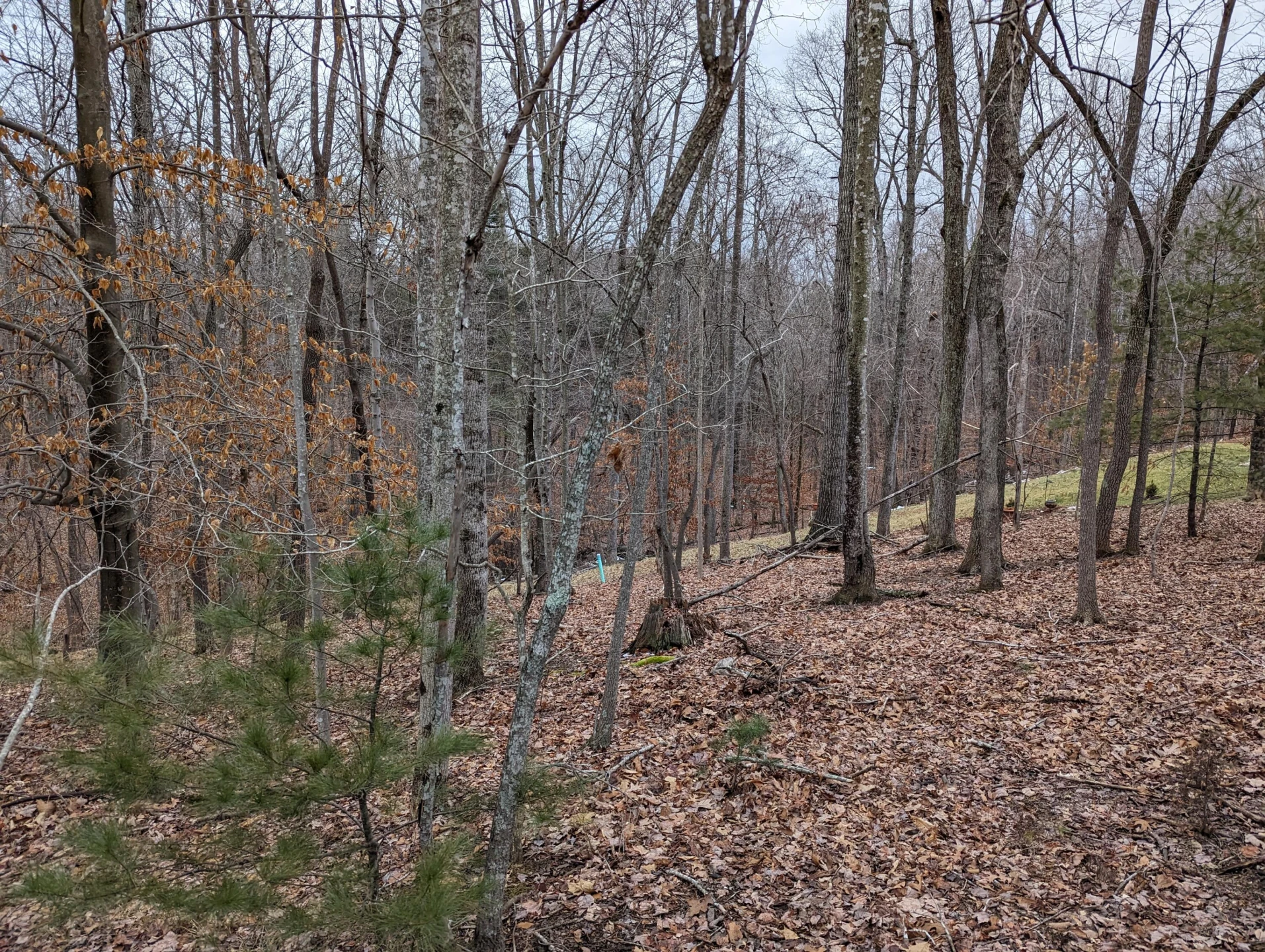 0 Stoney Mill RD - Photo 4
