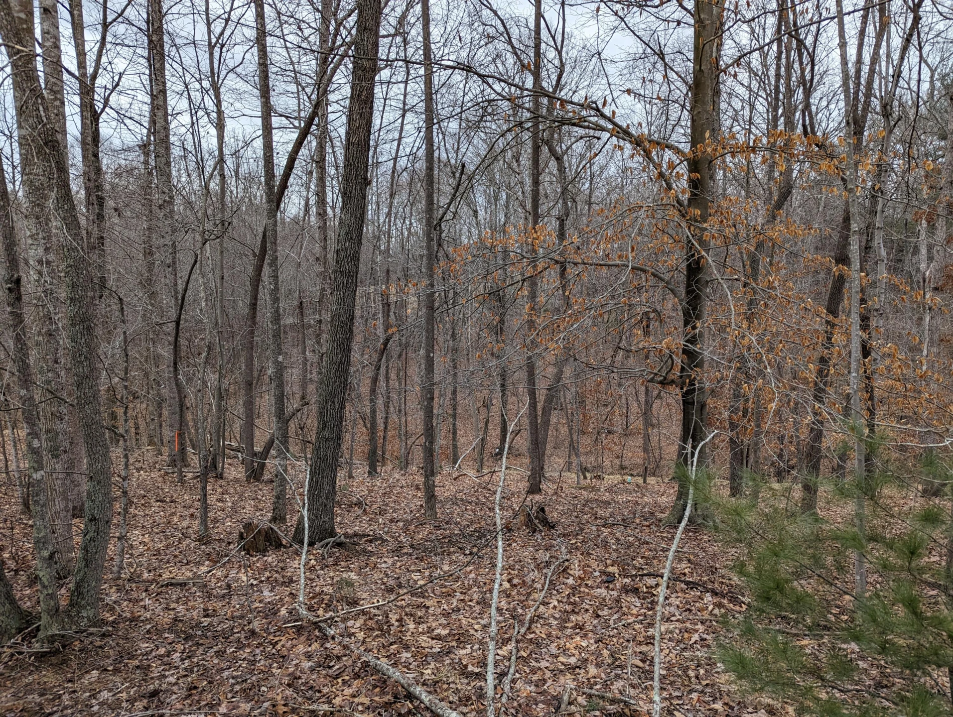 0 Stoney Mill RD - Photo 5