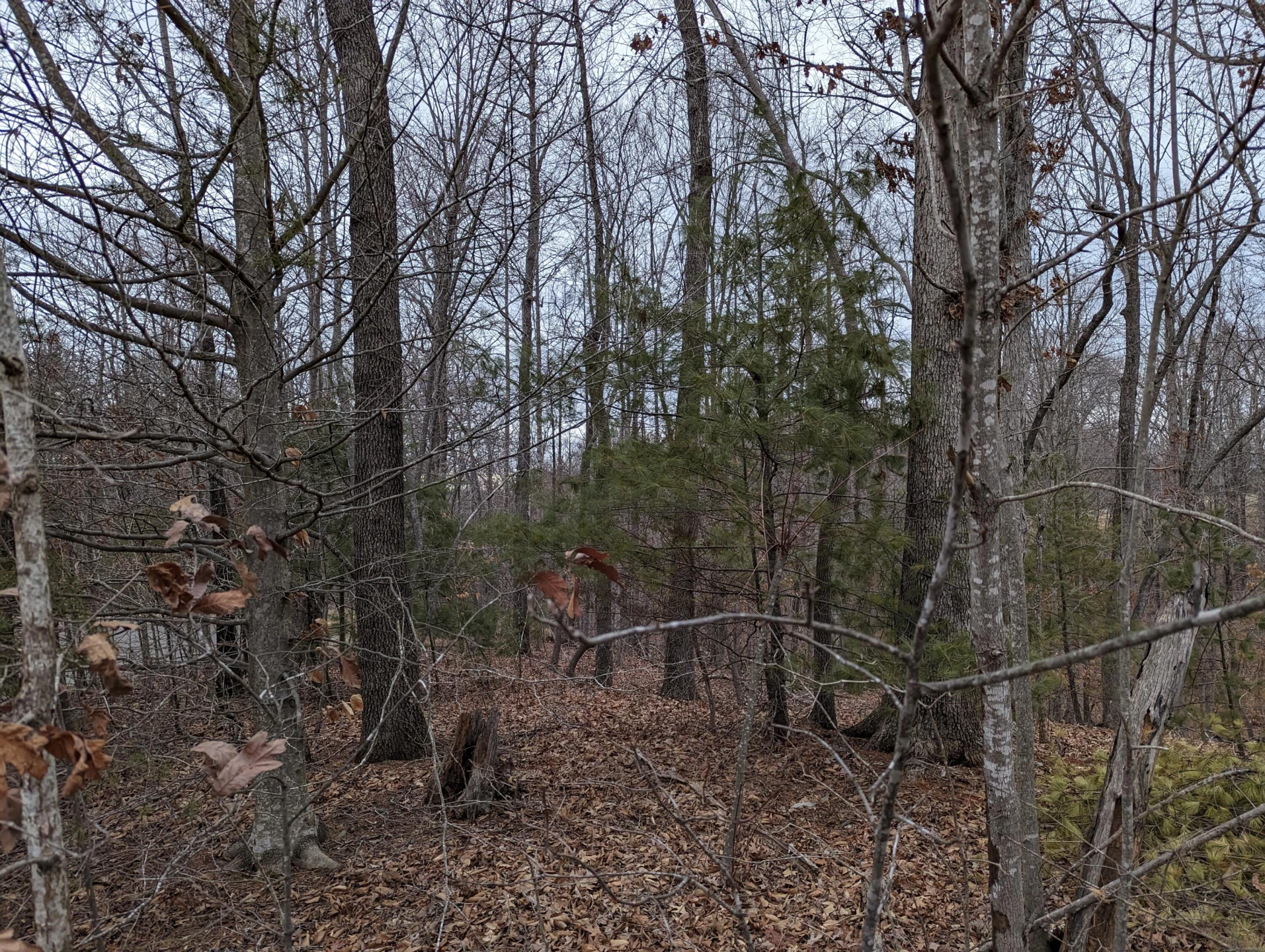 0 Stoney Mill RD - Photo 6