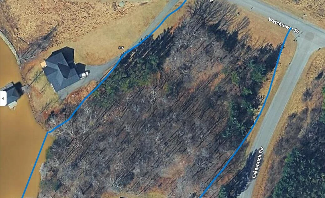 Lot 29 Watchtower DR - Photo 2