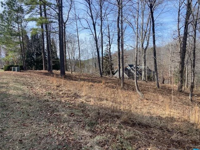 Lot 29 Watchtower DR - Photo 3
