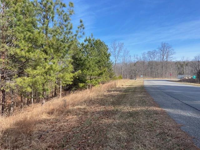 Lot 29 Watchtower DR - Photo 4