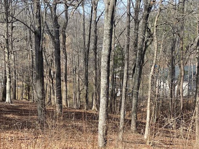 Lot 29 Watchtower DR - Photo 5