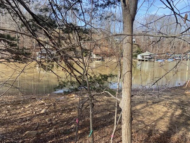 Lot 29 Watchtower DR - Photo 7