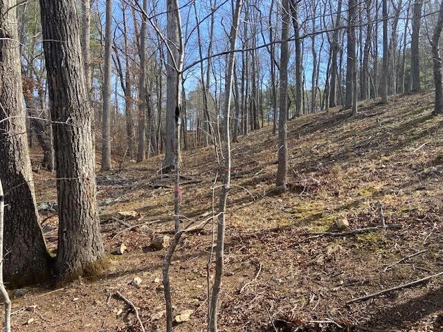 Lot 29 Watchtower DR - Photo 8