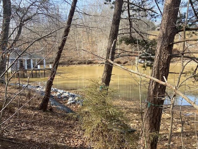 Lot 29 Watchtower DR - Photo 9