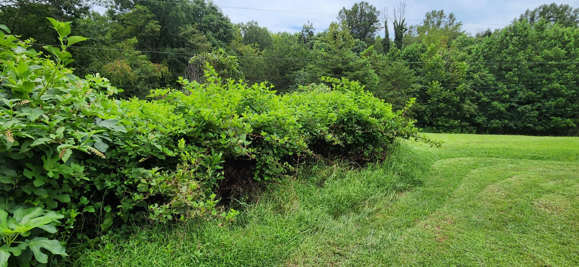 13384 Hardy RD - Photo 12