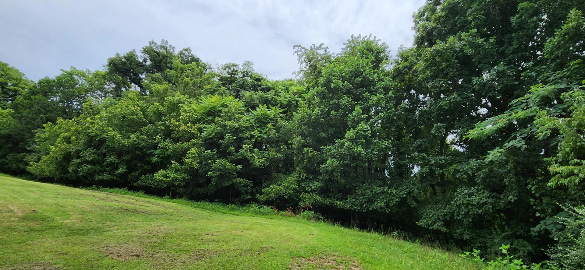 13384 Hardy RD - Photo 13